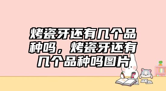 烤瓷牙還有幾個品種嗎，烤瓷牙還有幾個品種嗎圖片